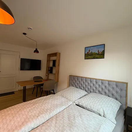 Apartmenthaus Alte Scheune * グンツェンハウゼン