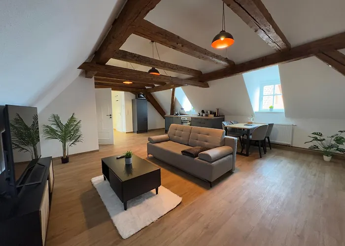 Apartmenthaus Alte Scheune Διαμέρισμα Gunzenhausen