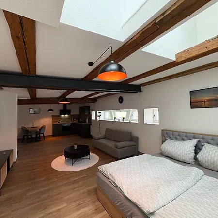 Lägenhet Apartmenthaus Alte Scheune *