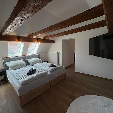 公寓 Apartmenthaus Alte Scheune