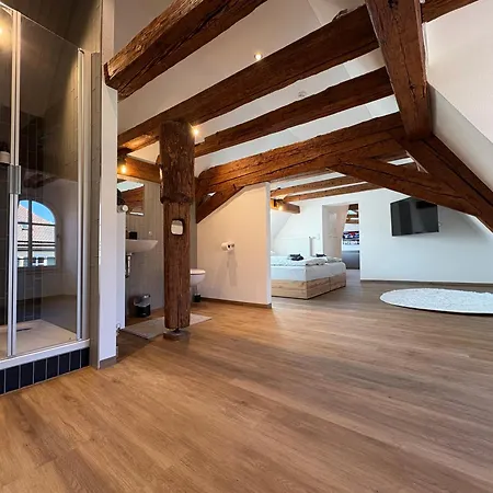 Apartmenthaus Alte Scheune Apartment *