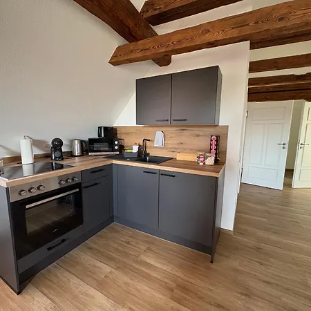 公寓 Apartmenthaus Alte Scheune 贡岑豪森