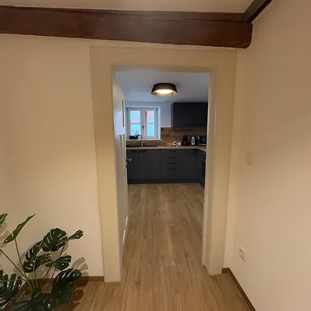 公寓 Apartmenthaus Alte Scheune *