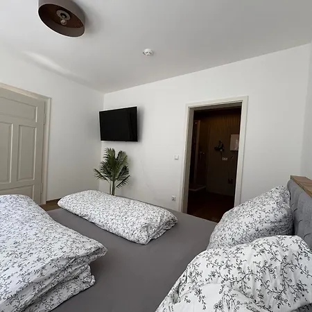 公寓 Apartmenthaus Alte Scheune *